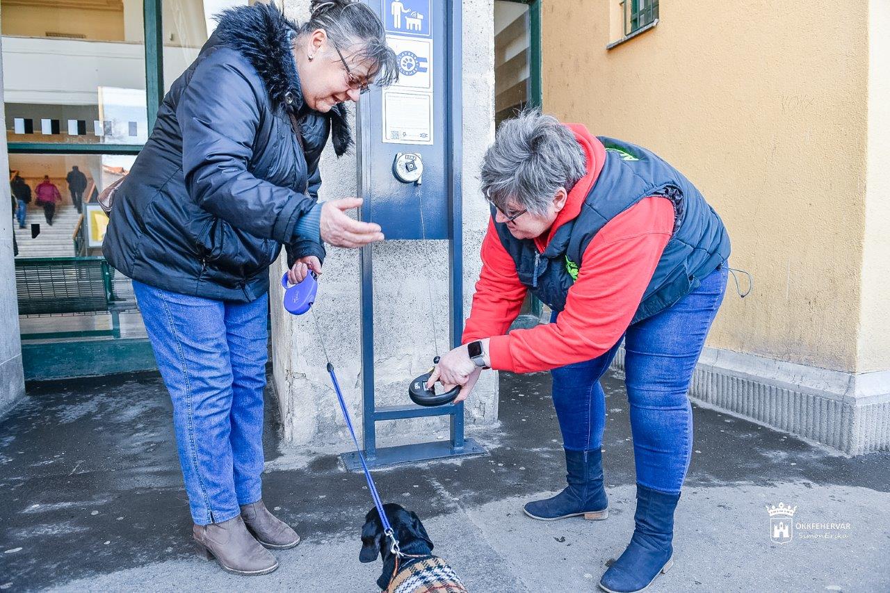 Állatbarát lett a székesfehérvári vasútállomás - chipleolvasót is telepítettek
